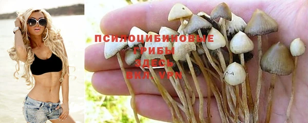 молекула духа Баксан