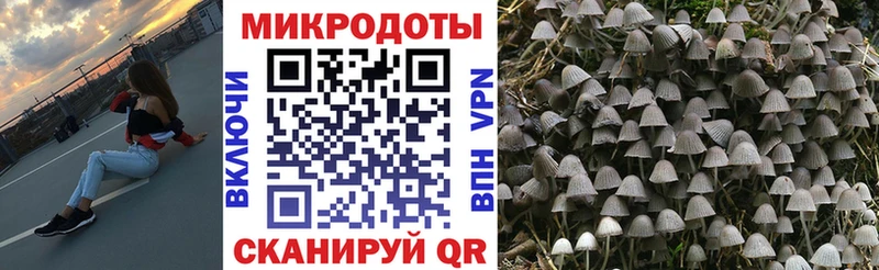 Псилоцибиновые грибы мухоморы  Туран 